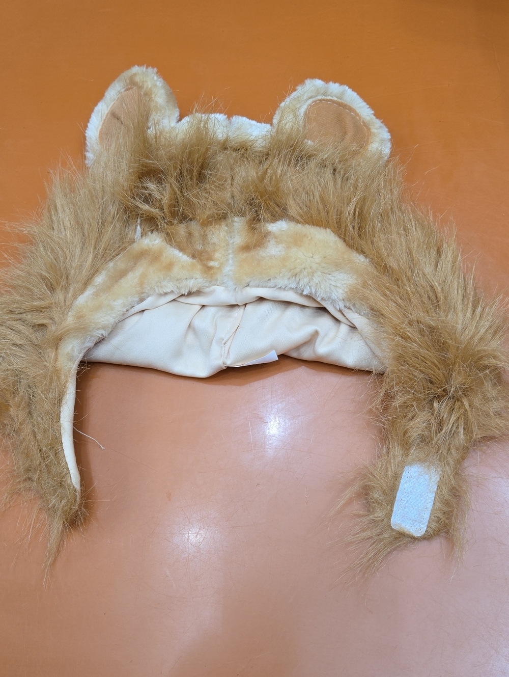 Lion Dog Hat, Size Small/medium